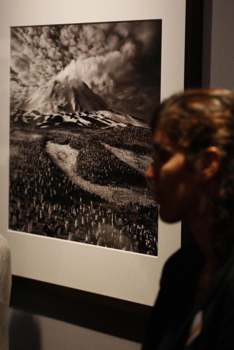 Exposició «Gènesi» de Sebastião Salgado