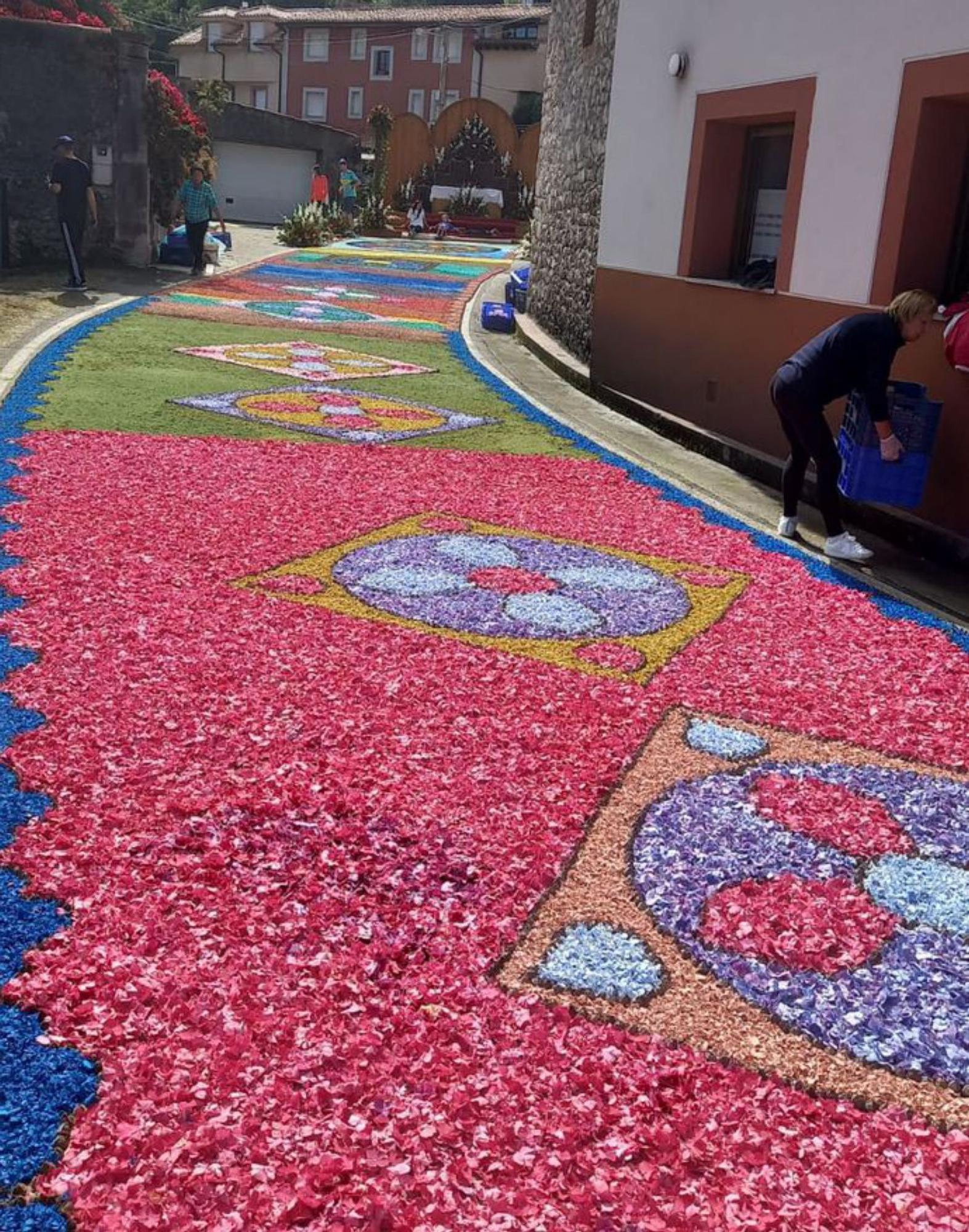 Motivos de la alfombra del bando de San Fernando. | M. Villoria