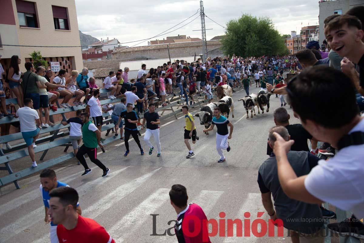 Primer encierro de la Feria del Arroz de Calasparra