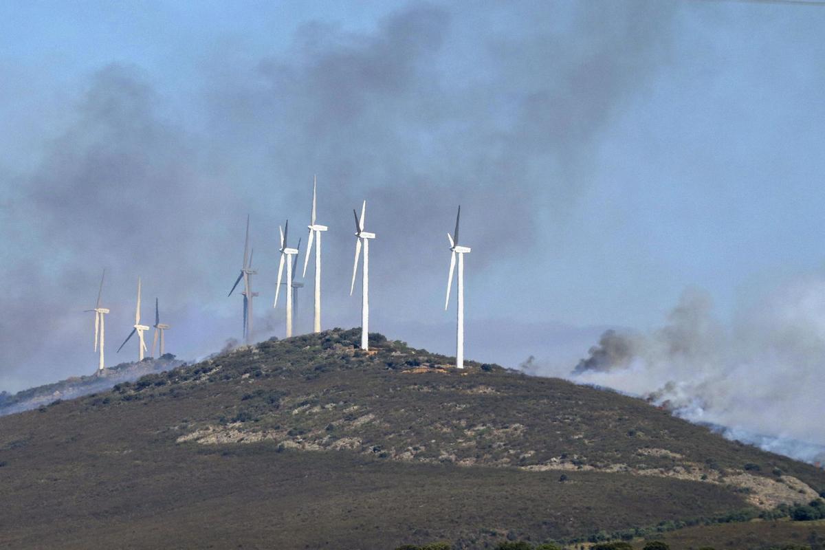 Columna de humo del incendio en la comarca de Tábara (Zamora), uno de los focos más activos actualmente del incendio forestal de Losacio (Zamora). EFE/Mariam A. Montesinos