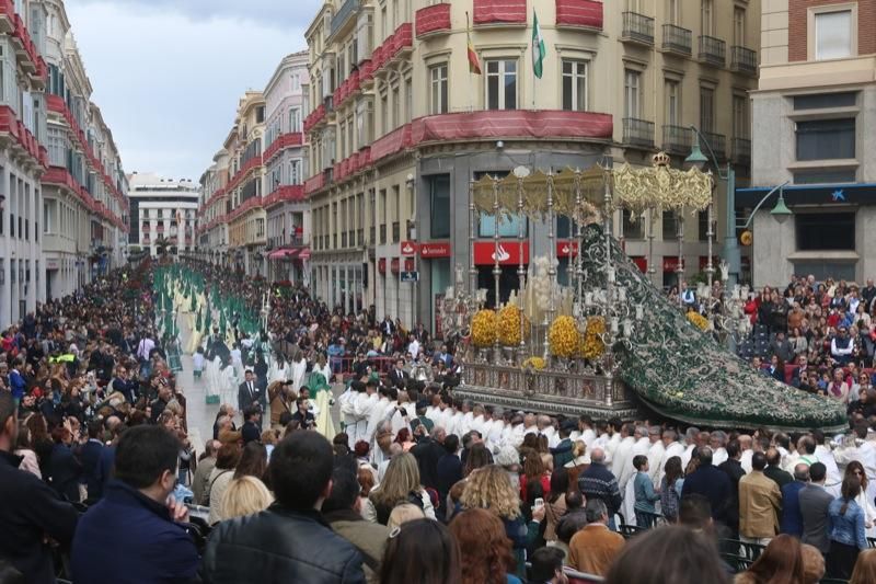 Domingo de Ramos de 2016 | Pollinica