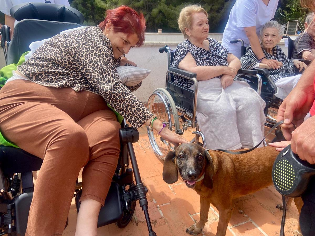 La unidad canina de los Bomberos de Palma visitan la residencia Bonanova