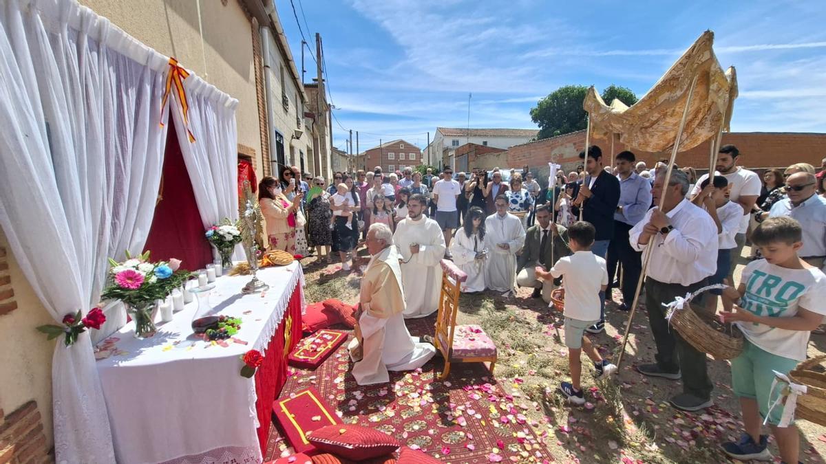 GALERÍA | El Corpus Christi impregna de devoción los pueblos de Zamora