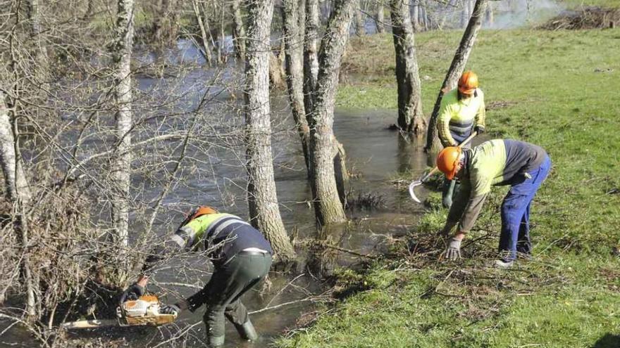 Los trabajadores de Imacal llevan a cabo trabajos de limpieza, ayer en el cauce del río Aliste.