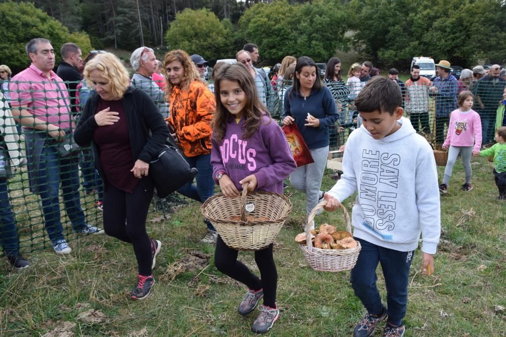 Concurs boletaire de Puigventós