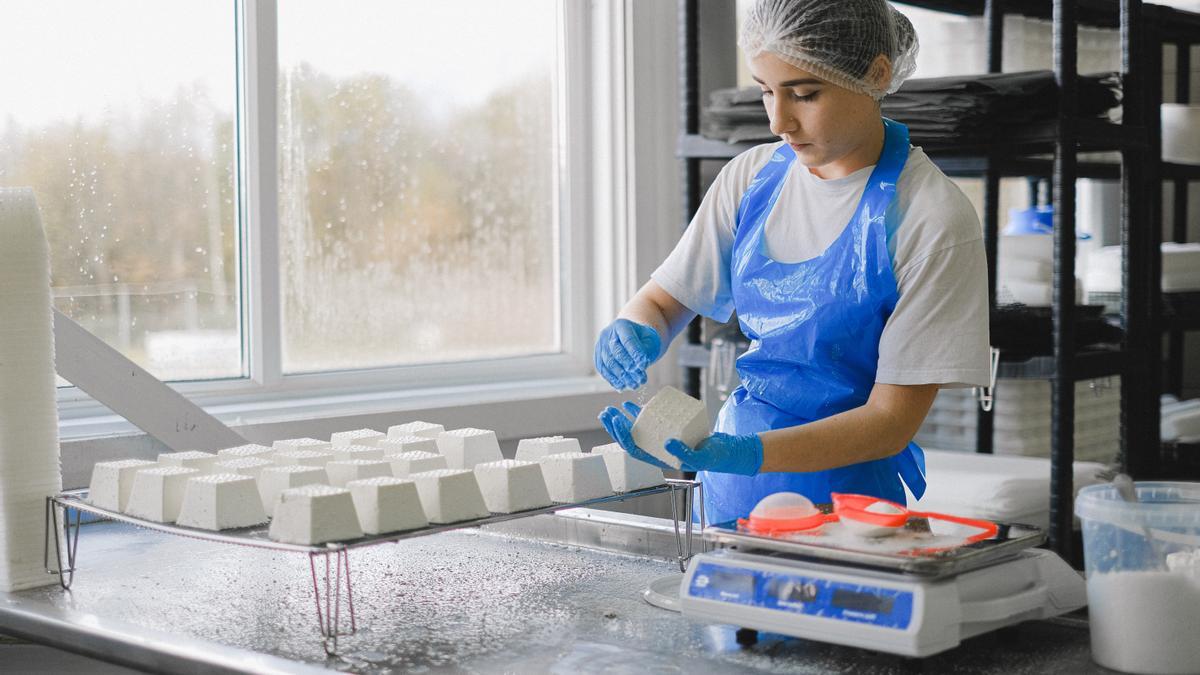 La UCV lanza el Máster en Seguridad, Higiene y Sostenibilidad en la Industria Alimentaria.