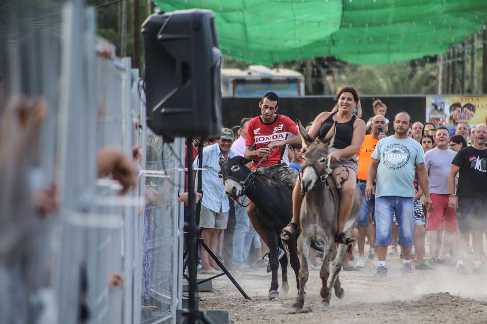 Carrera de burros y asnos y exhibición canina en D