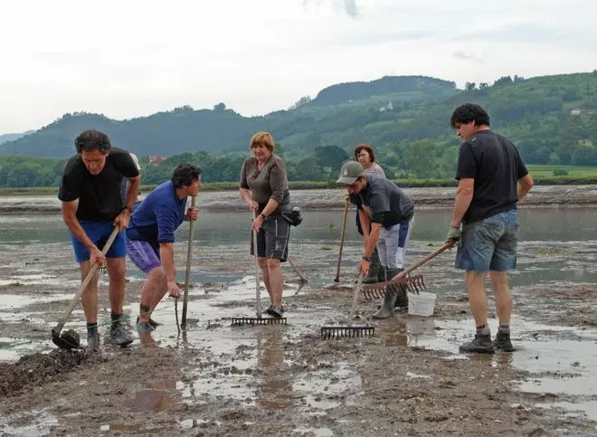 Los mariscadores de Villaviciosa alertan del estado de la ría: "Apenas hay almeja"
