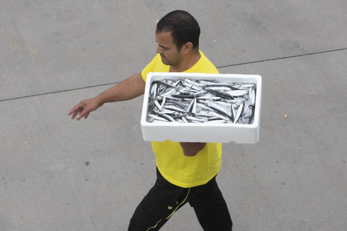 Un hombre lleva una caja de pescado a la lonja de Gandia.
