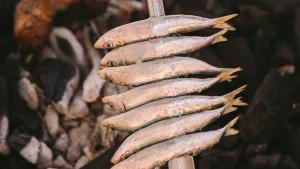 Anisakis: síntomas, cómo evitar un susto en verano y con qué pescados hay más riesgo