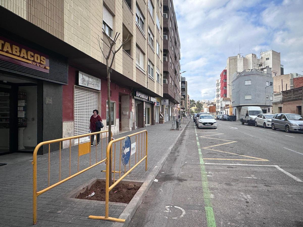 El plan de renaturalización de Burriana incorpora 47 nuevos árboles para incrementar la sombra y el bienestar urbano.