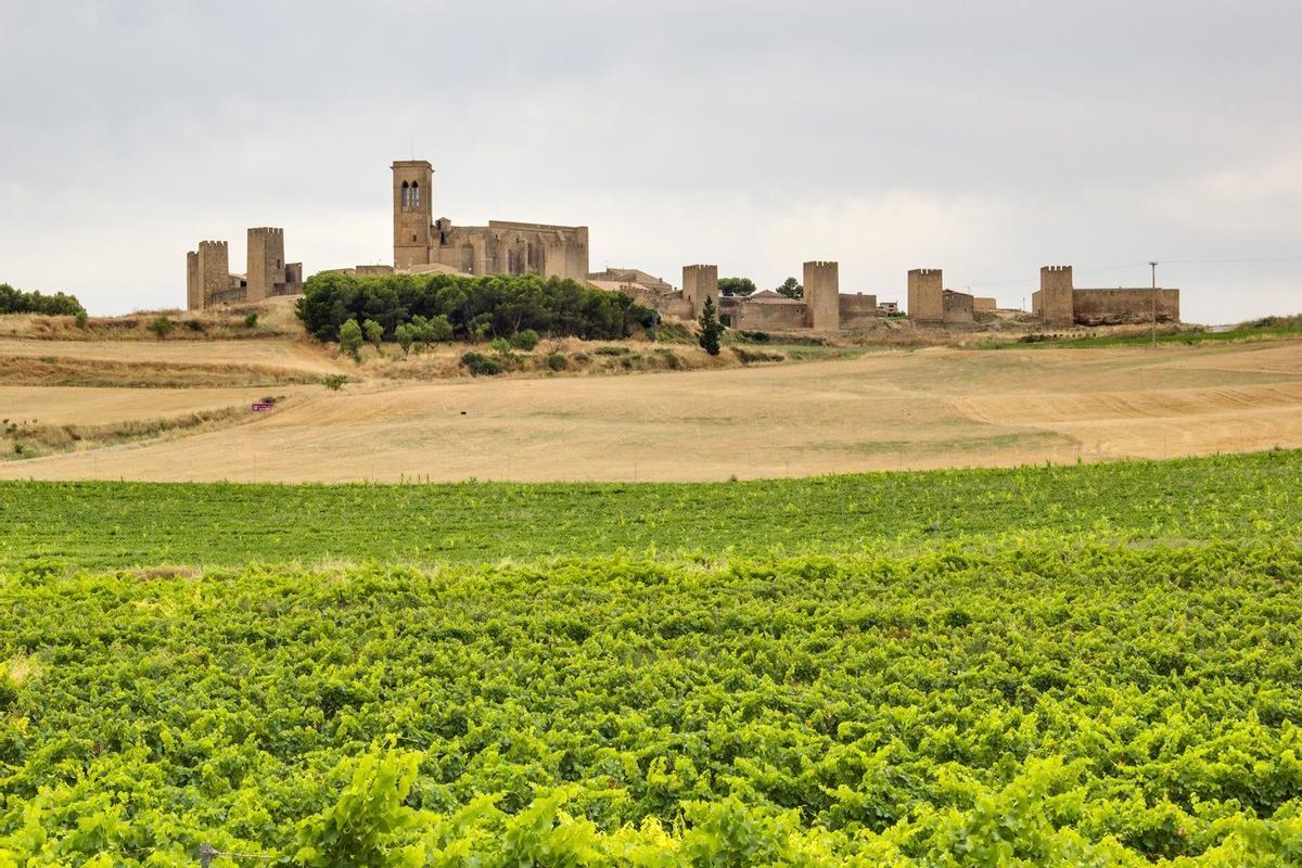 Castillo de Artajona, Navarra