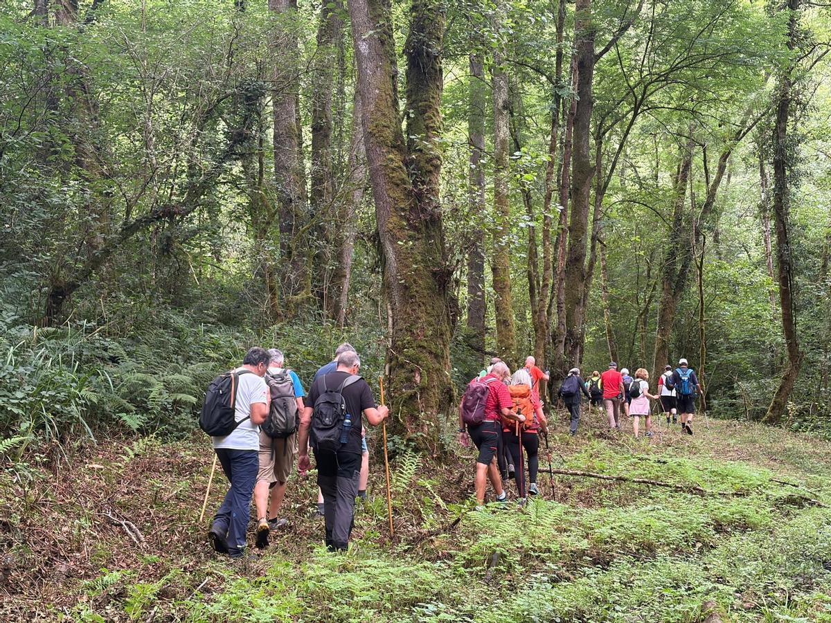 La caminata con el Grupo Montañero Moscón, en imágenes La caminata con el Grupo Montañero Moscón, en imágenes