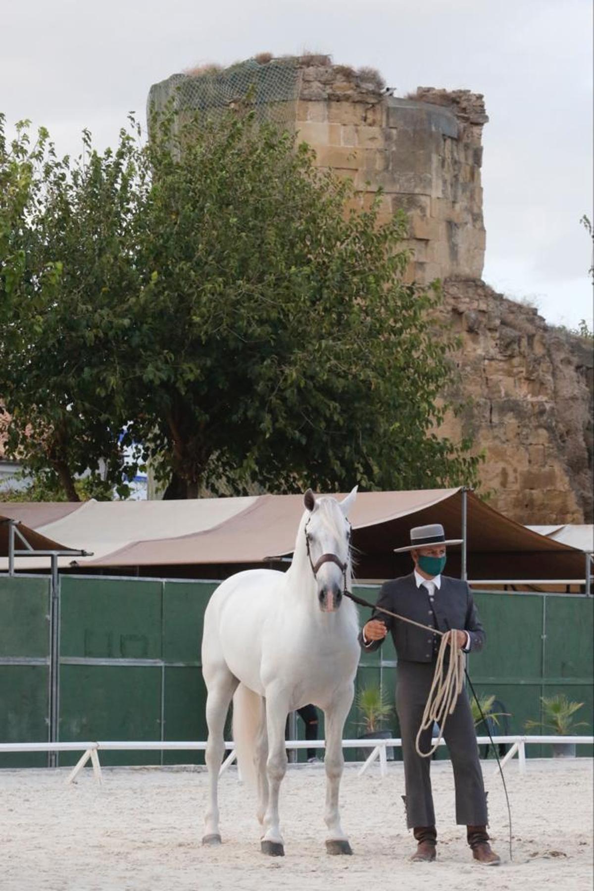 Cabalcor desafía a la lluvia