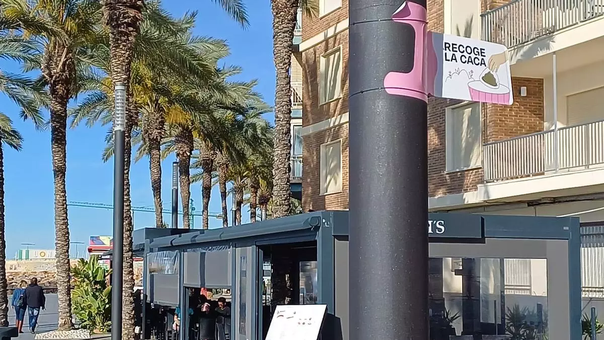 "No dejes el marrón": la nueva campaña del Ayuntamiento de Torrevieja para frenar los excrementos de perro en la calle