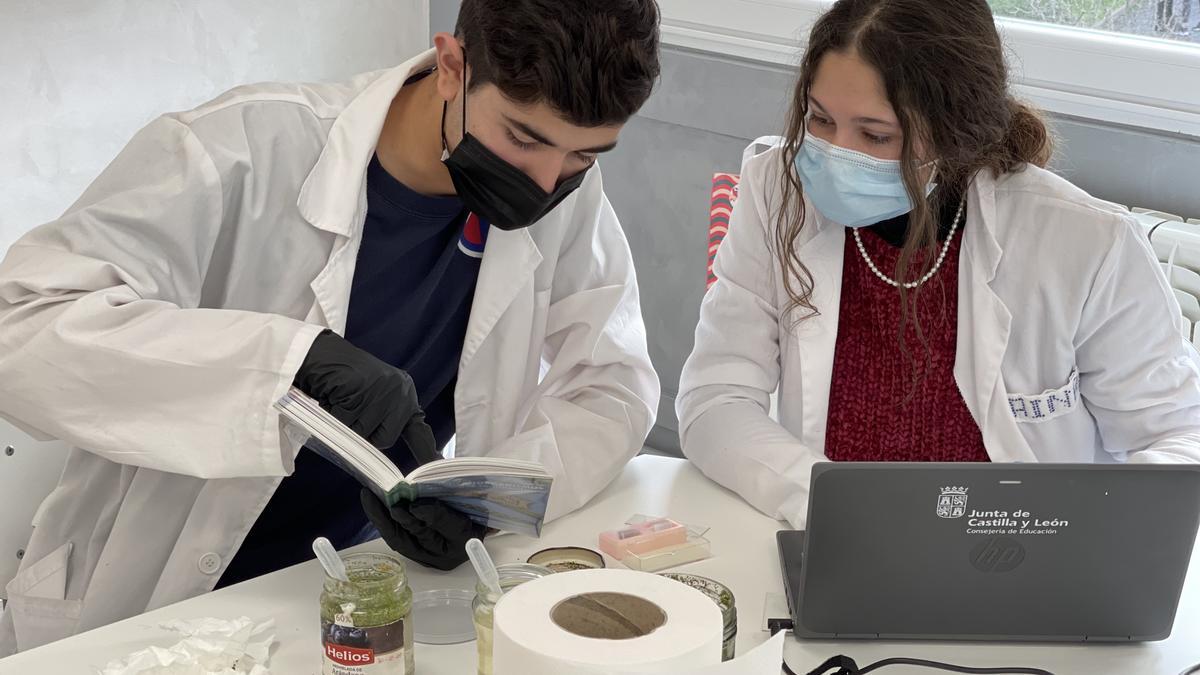 Dos alumnos determinando las especies de microorganismos.
