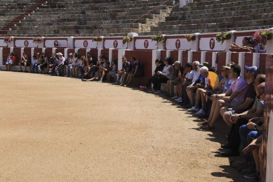 Demostración caballos de picar.