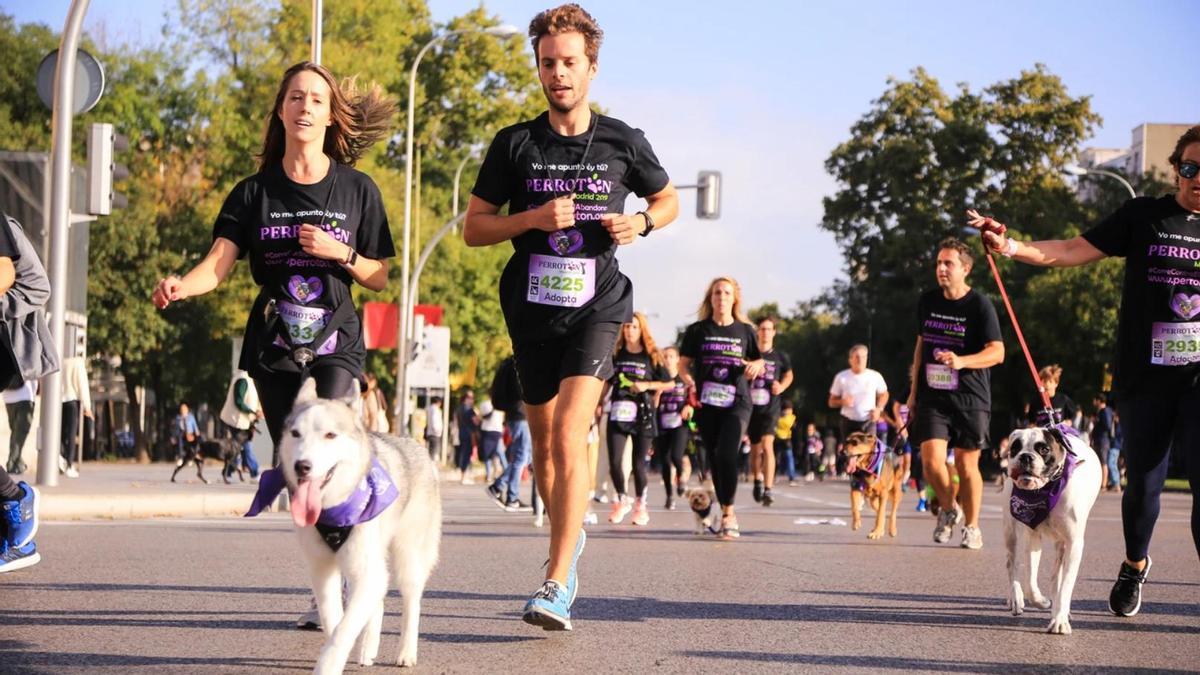 Participantes de Perrotón Madrid en la edición de 2019