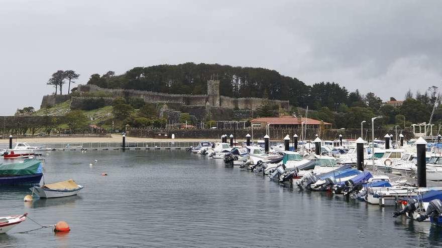 Una plaga de procesionaria obliga a talar el pinar de la península de Monte Boi