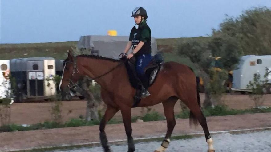 Una yegua cordobesa, campeona de Portugal