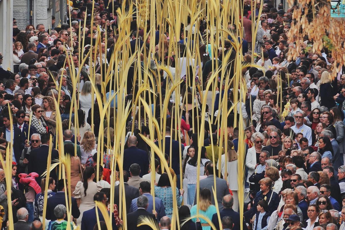 Las celebraciones de la Semana Santa en Elche se inician con la procesión de Domingo de Ramos, declarada de Interés Turístico Internacional.