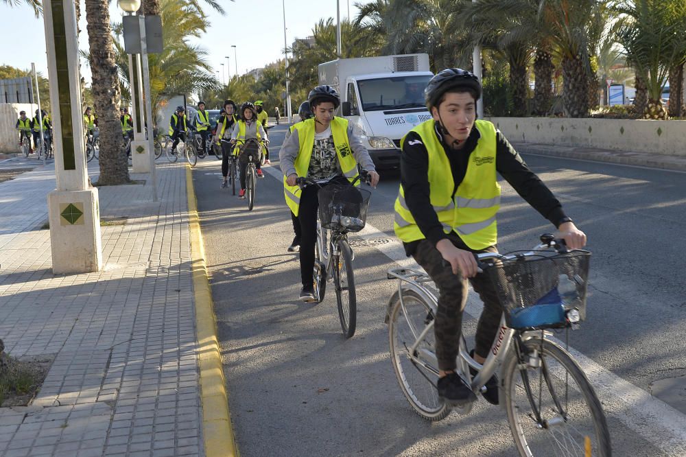 El carril bici en la avenida de la universidad