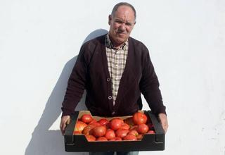 Tomates como los de antes