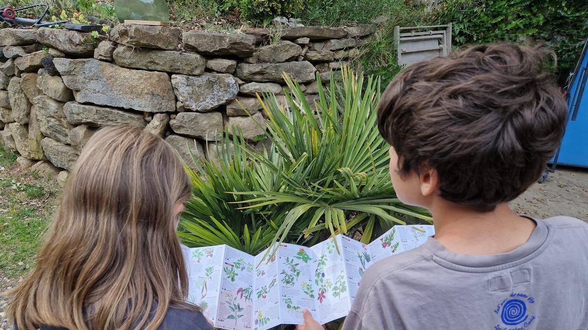 Dos infants consulten la nova guia de la Diputació de Girona sobre plantes ornamentals invasores