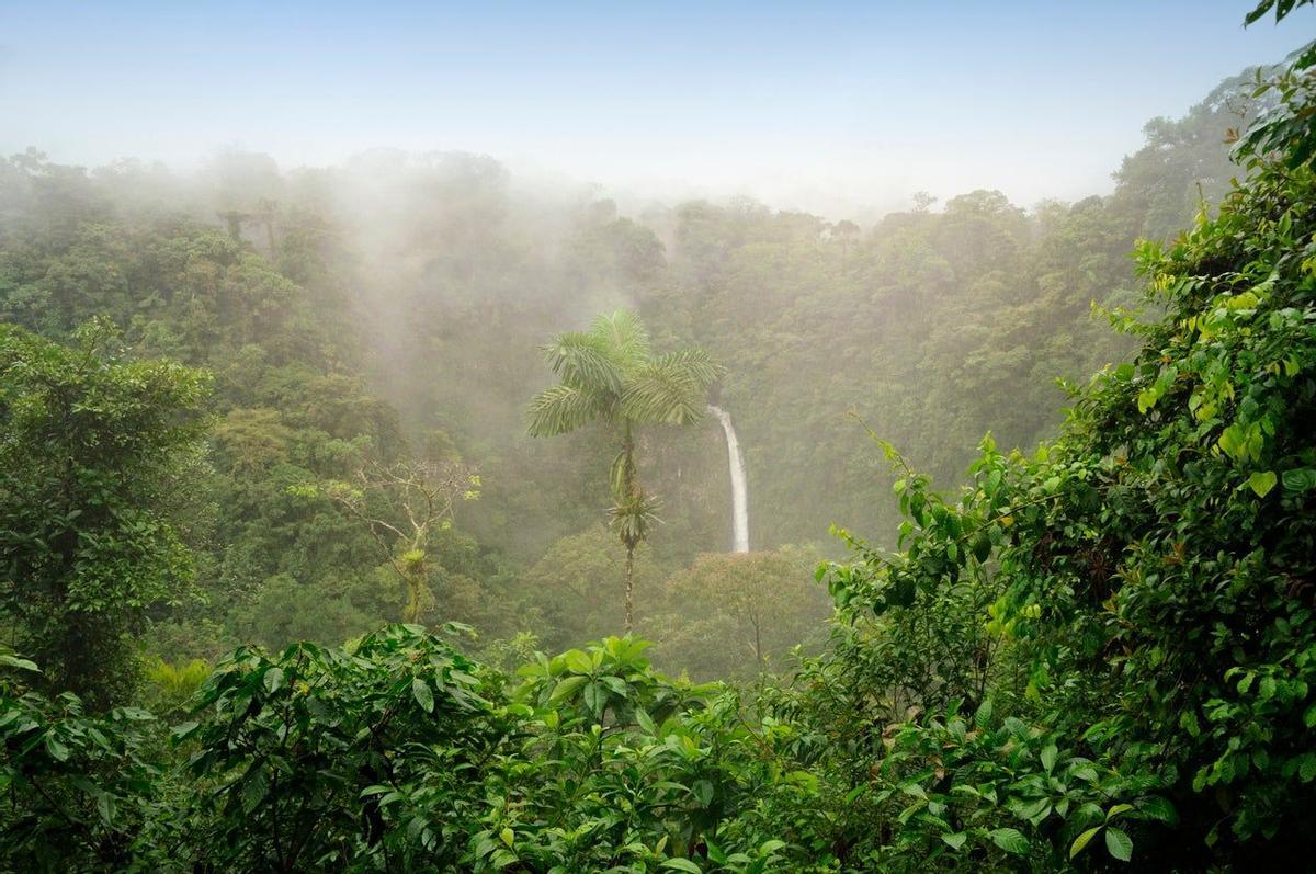 Catarata de La Paz, Costa Rica