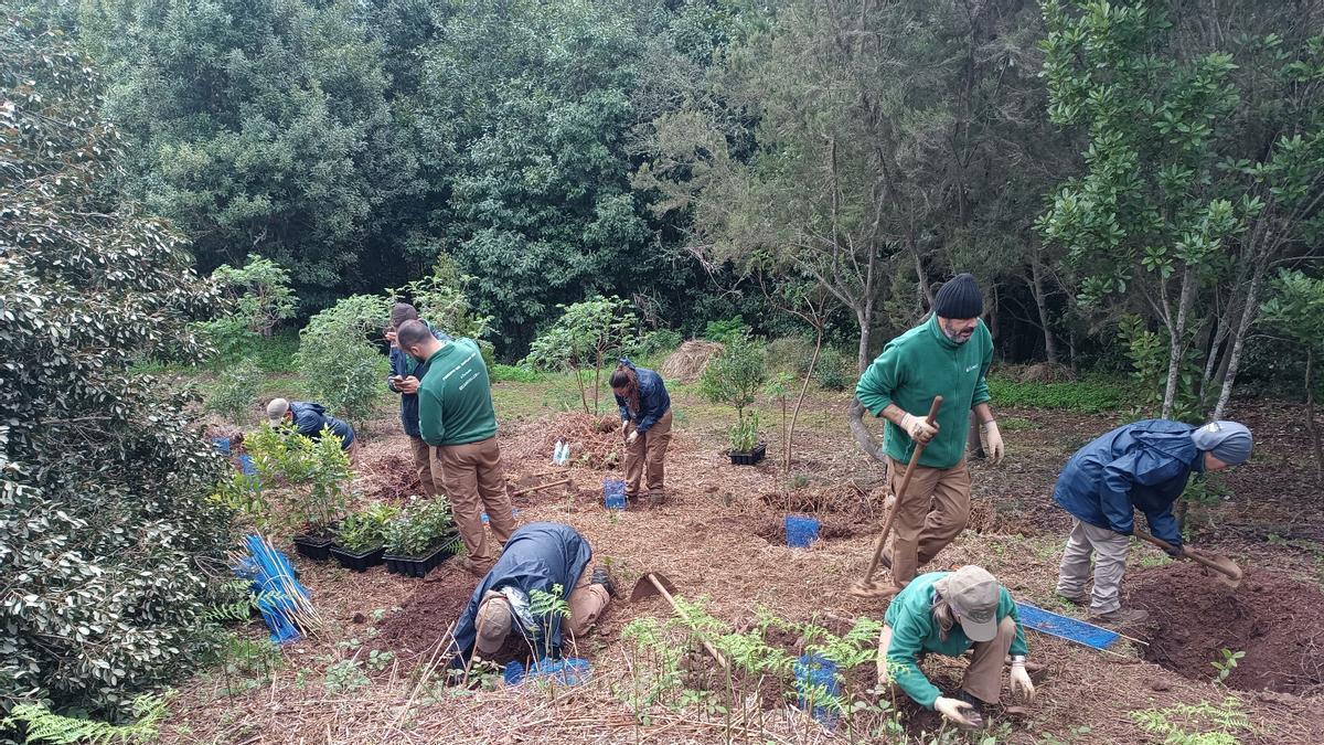 Miembros del plan de reforestación.