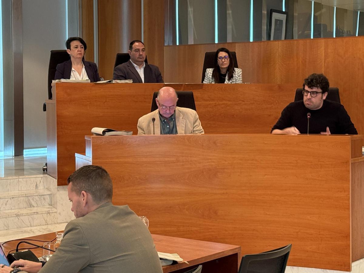 Un momento del pleno celebrado este viernes en el Consell de Ibiza.