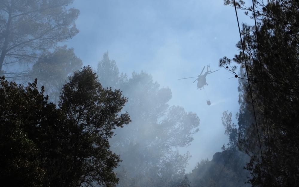 Waldbrand bei Puigpunyent