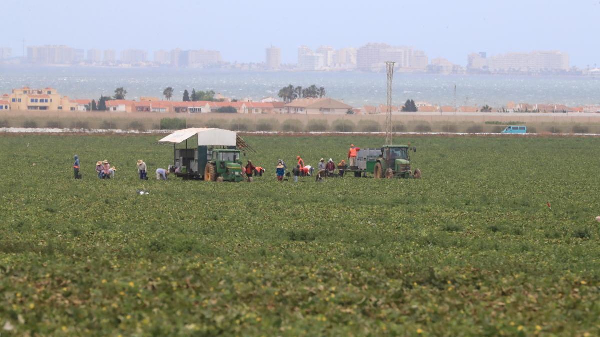 El acuífero del Mar Menor estaría recuperado en 18 años sin fertilizantes