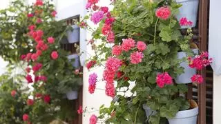 Ya hay ganadores del concurso de Rejas y Balcones 2025 en Córdoba: estos son los premiados