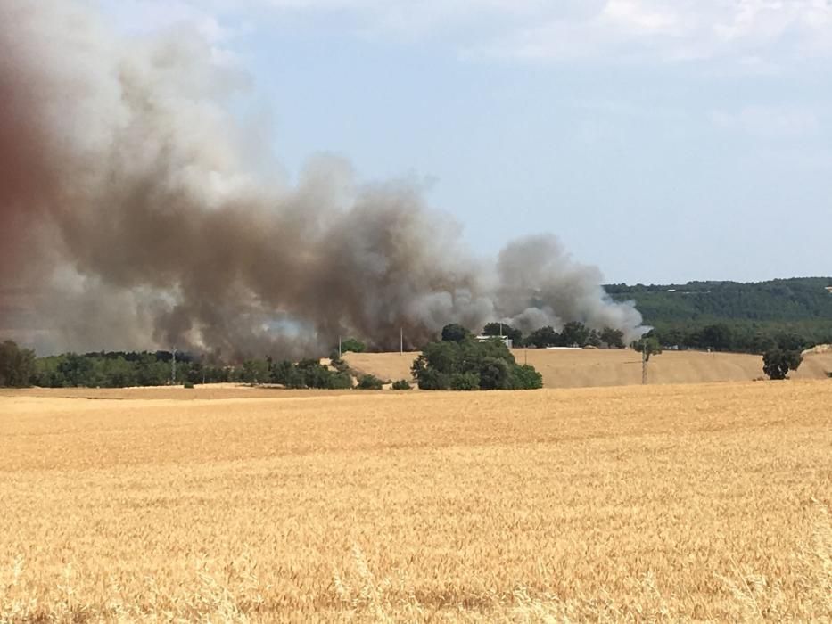 Incendi agrícola a Olius, al Solsonès