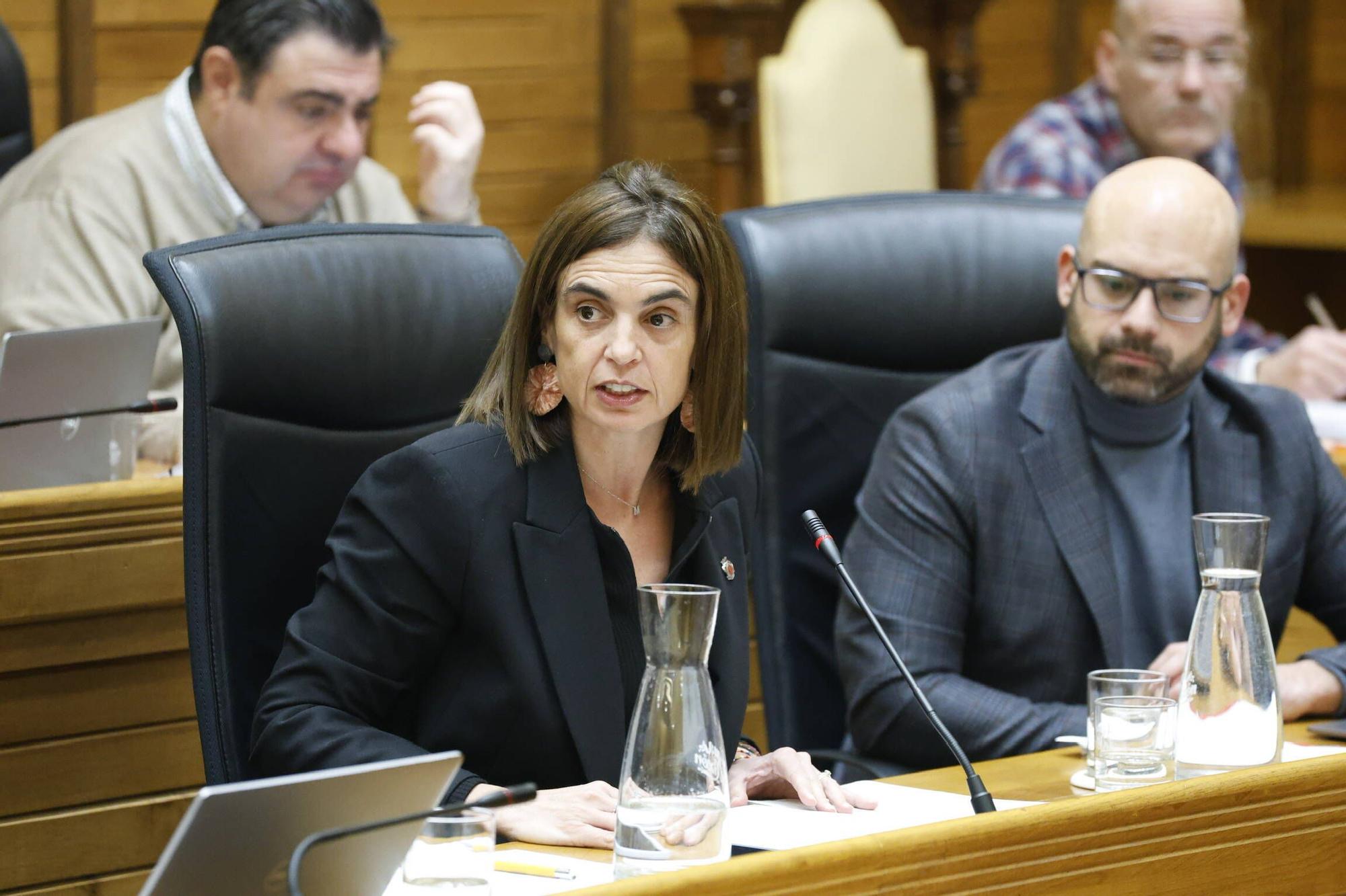 El pleno municipal en Gijón del mes de febrero, en imágenes