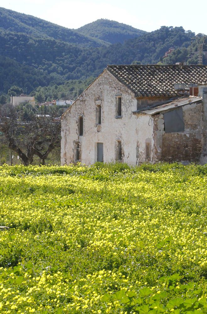 Un paseo por Petrés