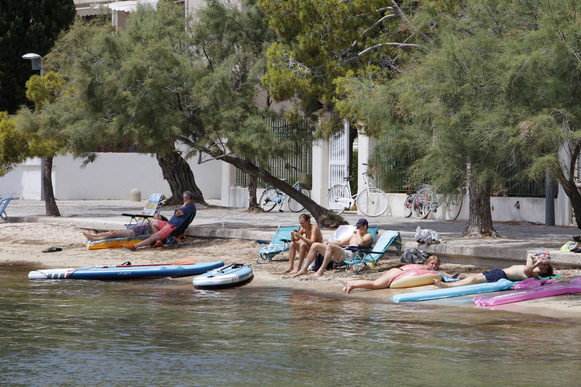 Strand Platja de Port de Pollenca in Pollença im Norden von Mallorca