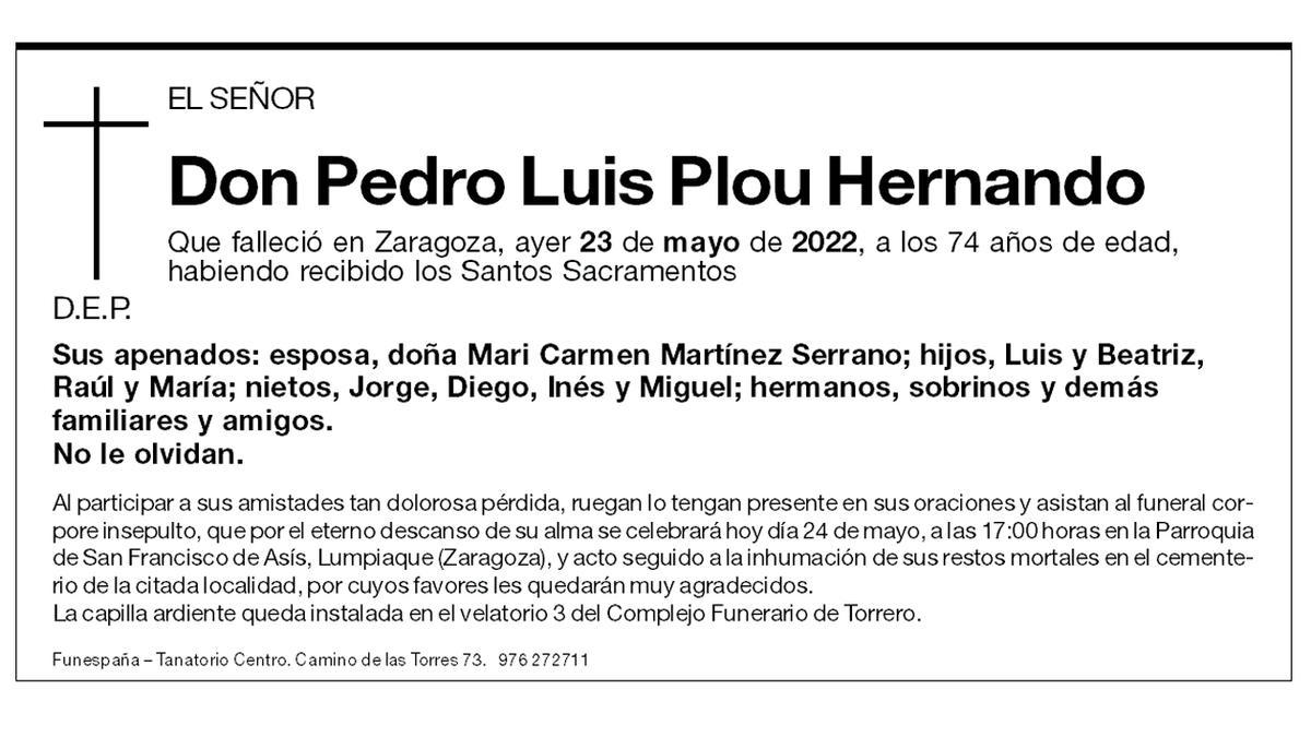 Pedro Luis Plou Hernando