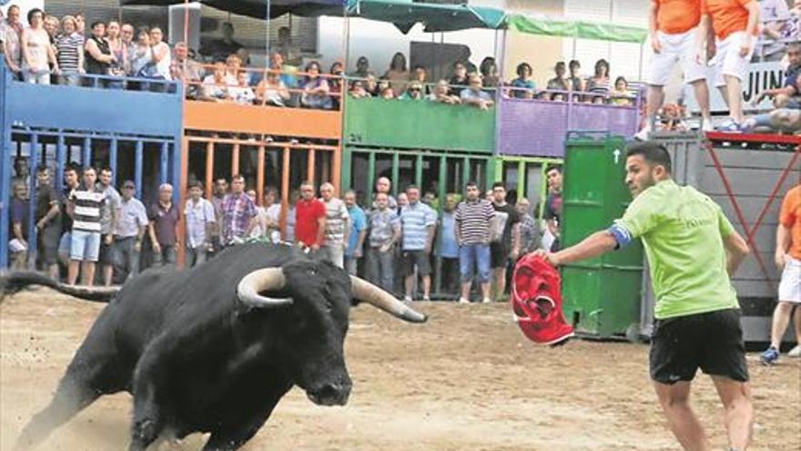 Récord de toros cerriles en los festejos con 9 astados en Moró