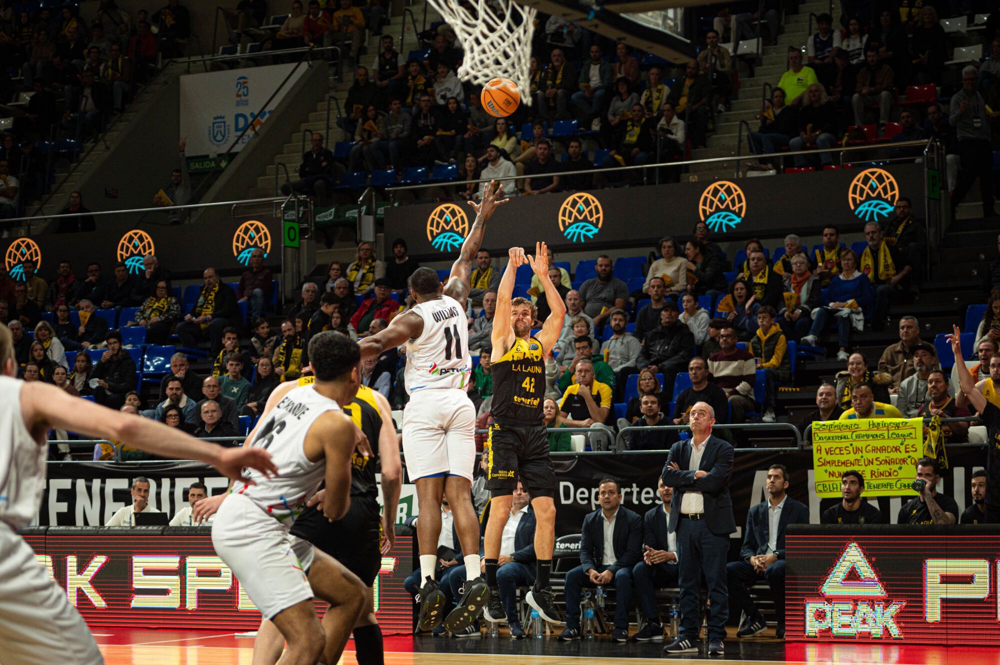 Basketball Champions League: La Laguna Tenerife - Aliaga Petkim Sport 