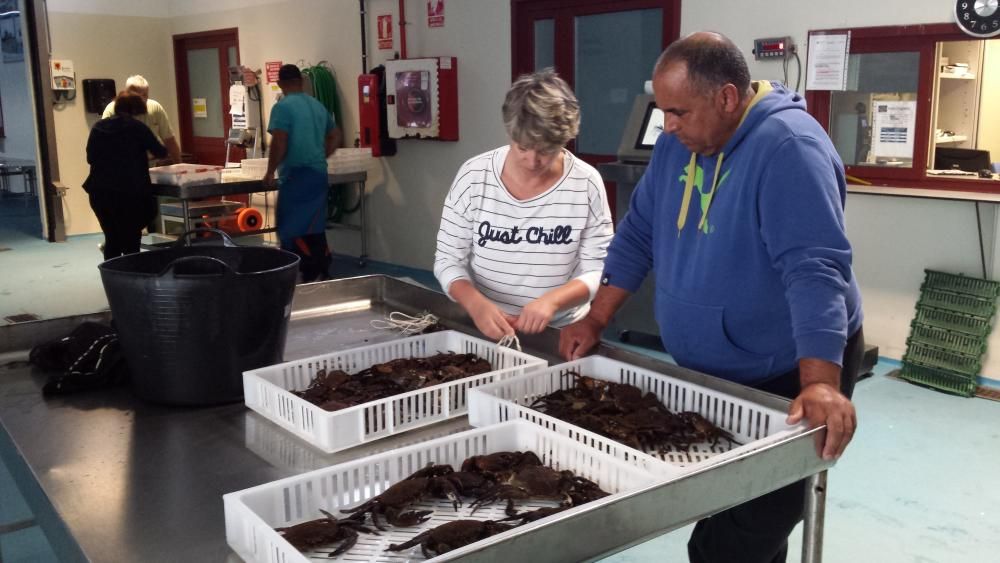 Capturas de nécora y pulpo en la lonja de Cangas // Santos Álvarez