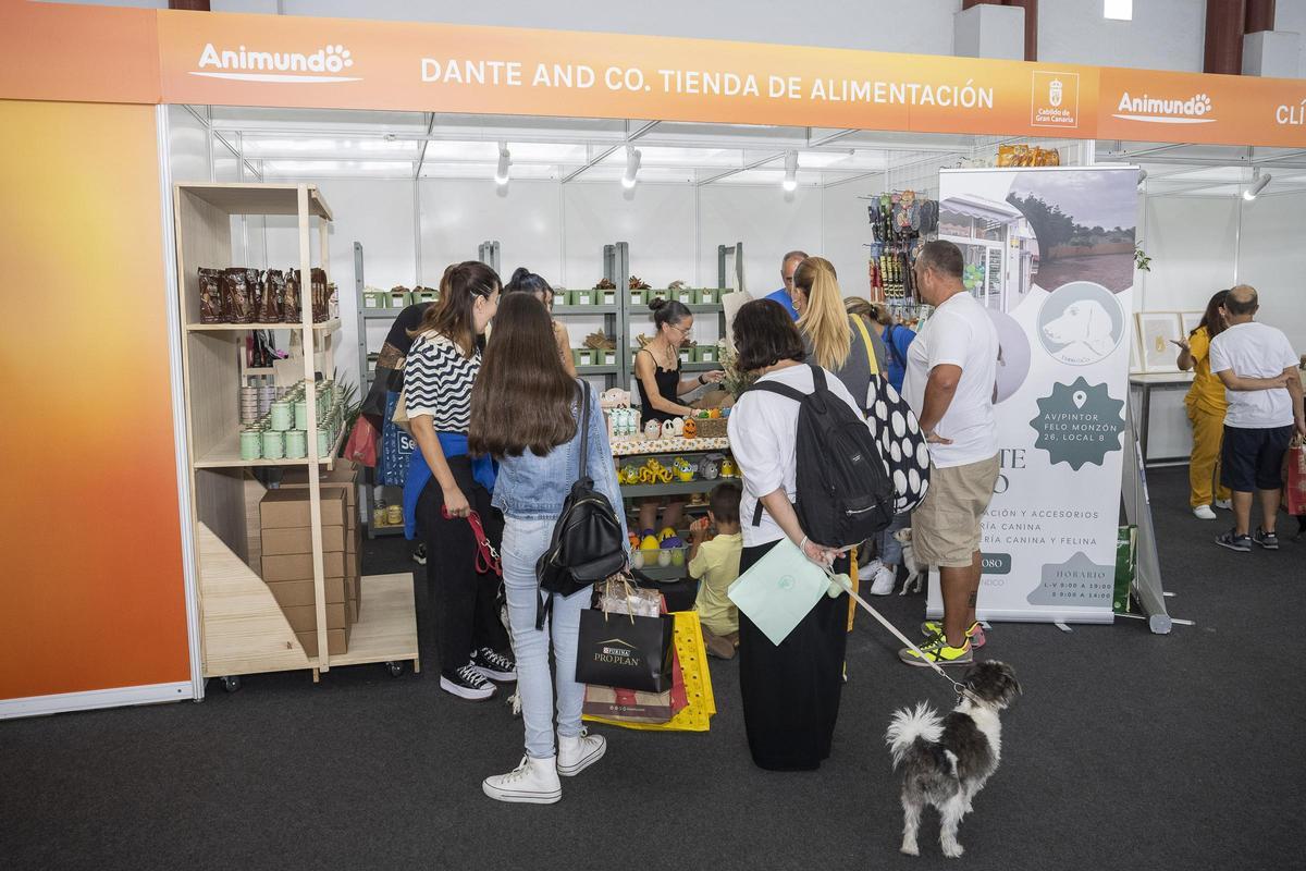 Animundo abre sus puertas en busca de adopciones para toda la vida Animundo abre sus puertas en busca de adopciones para toda la vida