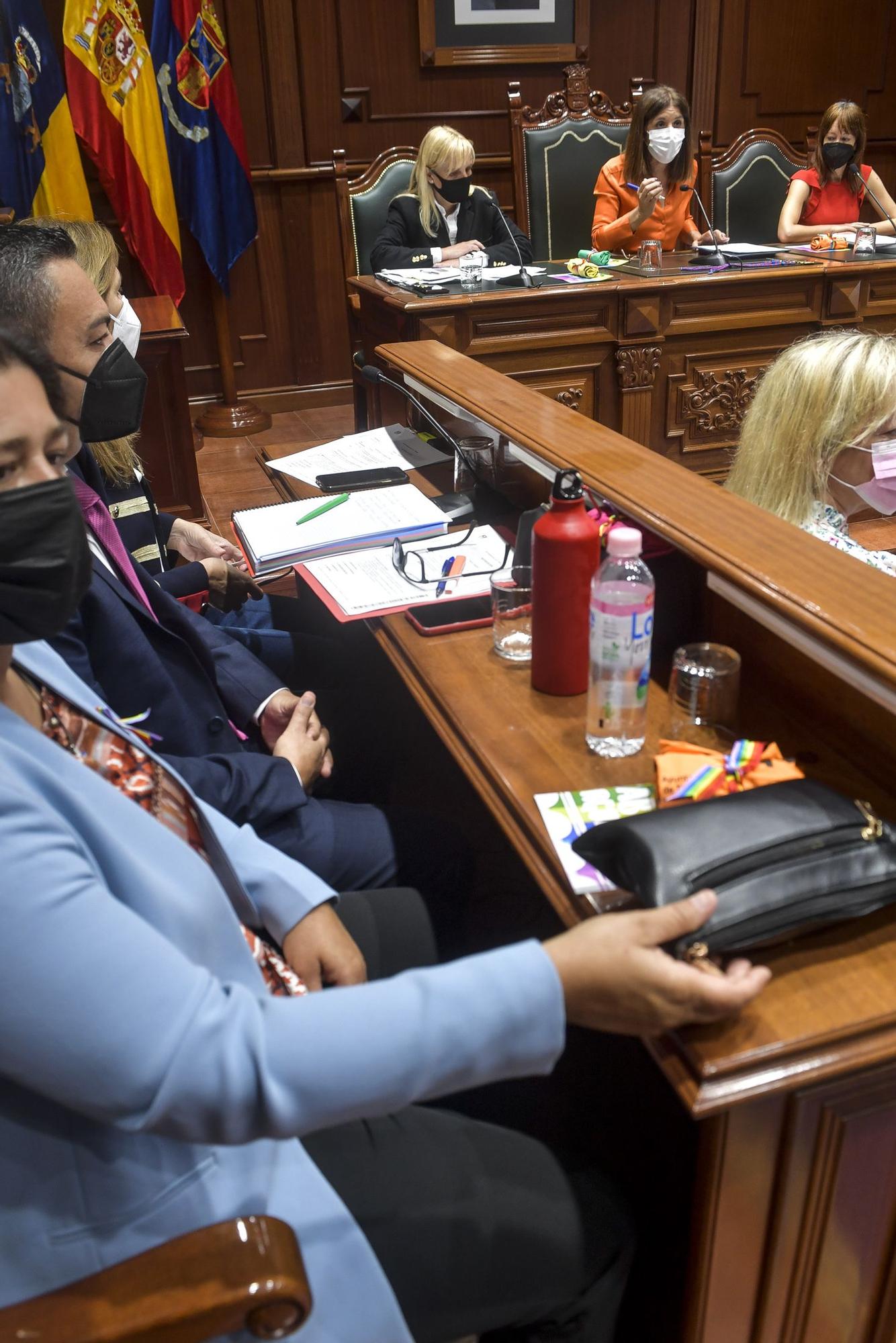 Pleno del Ayuntamiento de Telde (30/06/22)