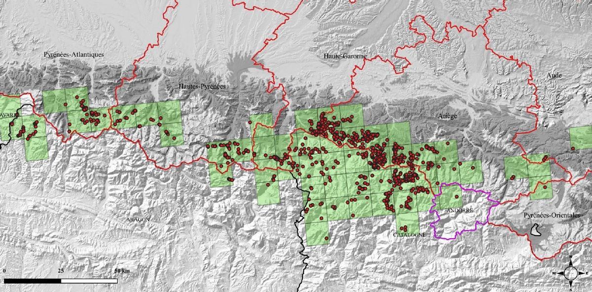 El mapa del pla de seguiment de l'os de l'any 22