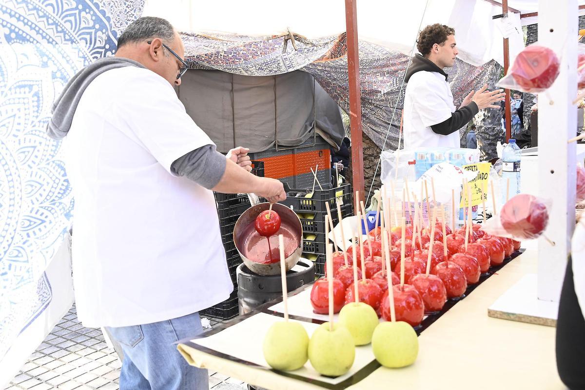 Romeria de San Antón en Elche