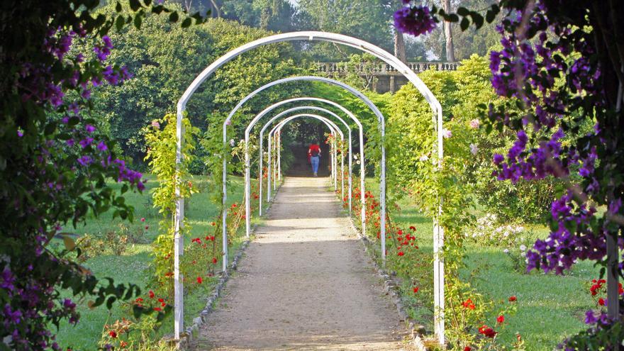 Galicia se disfruta en primavera: los mejores paisajes para recorrer la estación