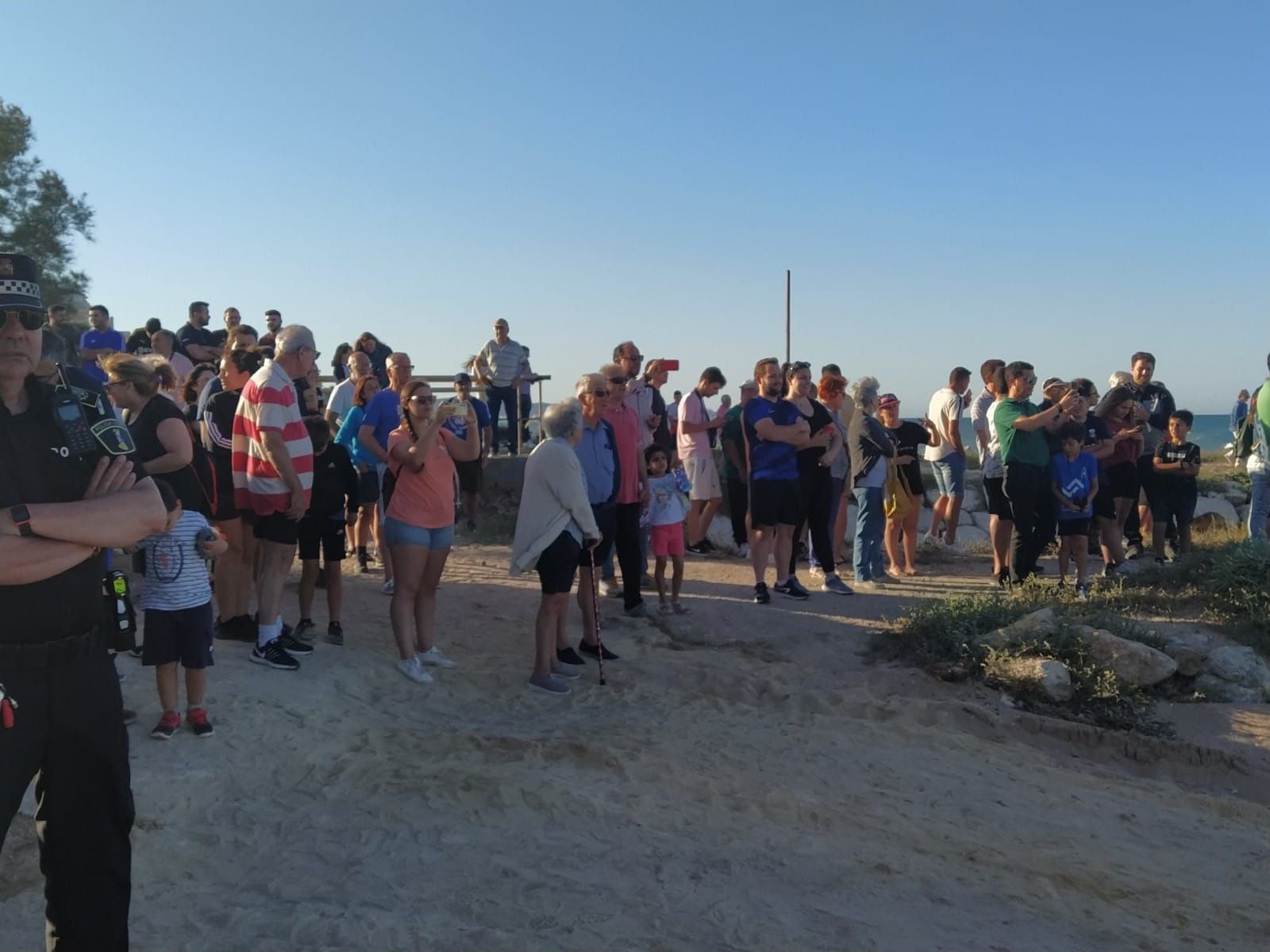 Avistan una ballena en la playa de Tavernes de la Valldigna