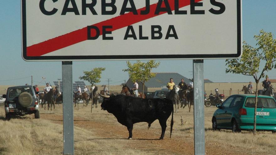 Polémica por la contratación de los toros de Carbajales: el alcalde presenta querella criminal