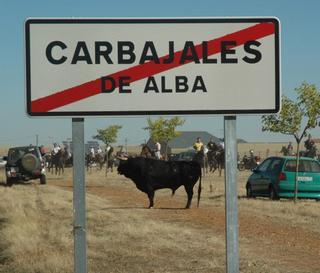 Polémica por la contratación de los toros de Carbajales: el alcalde presenta querella criminal